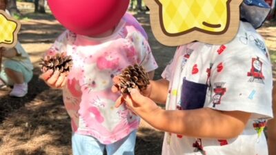 まつぼっくり　見つけたよ♪