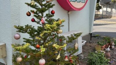 クリスマス準備を始めました✨🎄✨