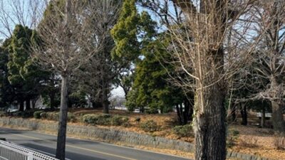 ❄️冬の自然❄️