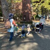 春の公園で見つけた小さな発見！